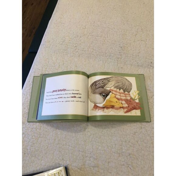 I Saw a Bullfrog  Hardcover Children’s Book By Ellen Stern NEW W9780375821738 - Picture 9 of 10